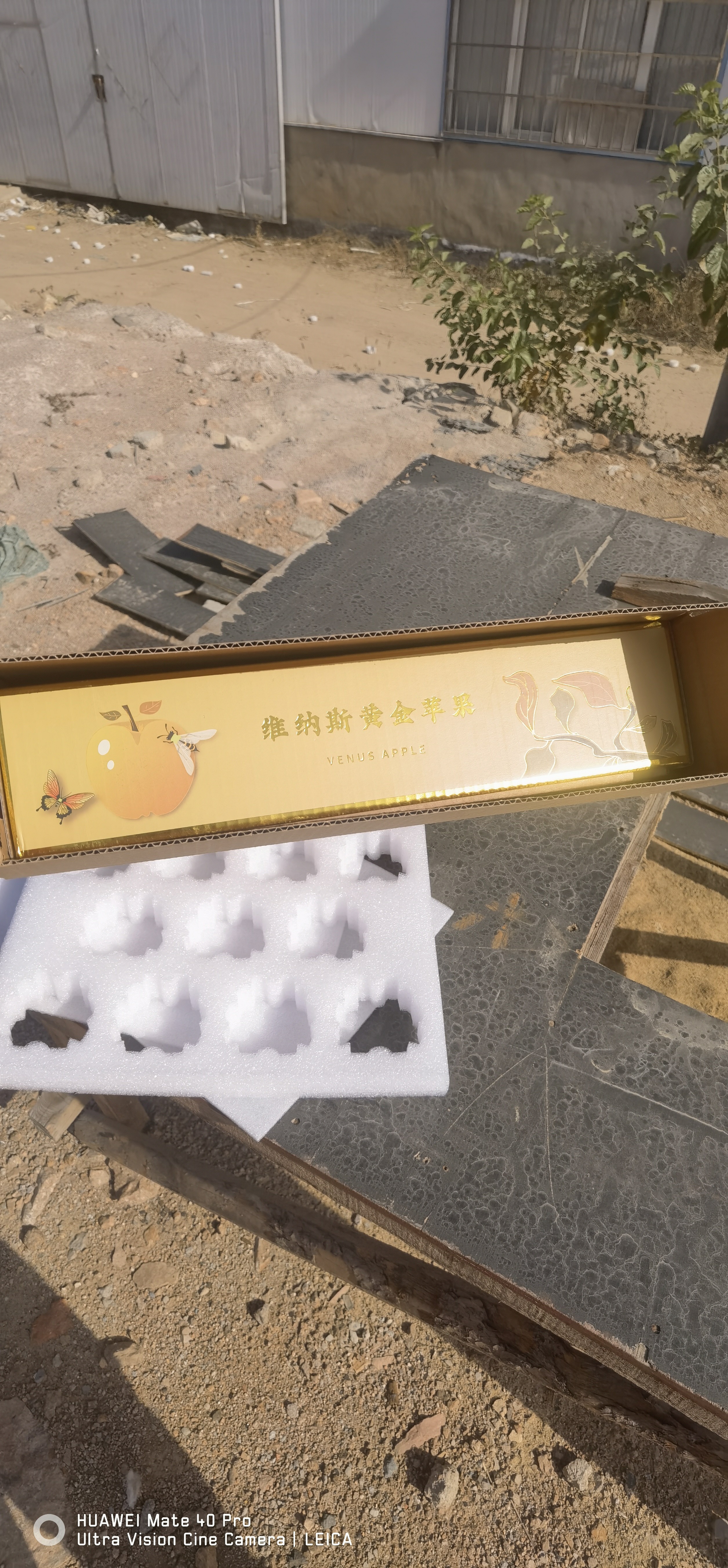 维纳斯苹果珍珠棉内衬