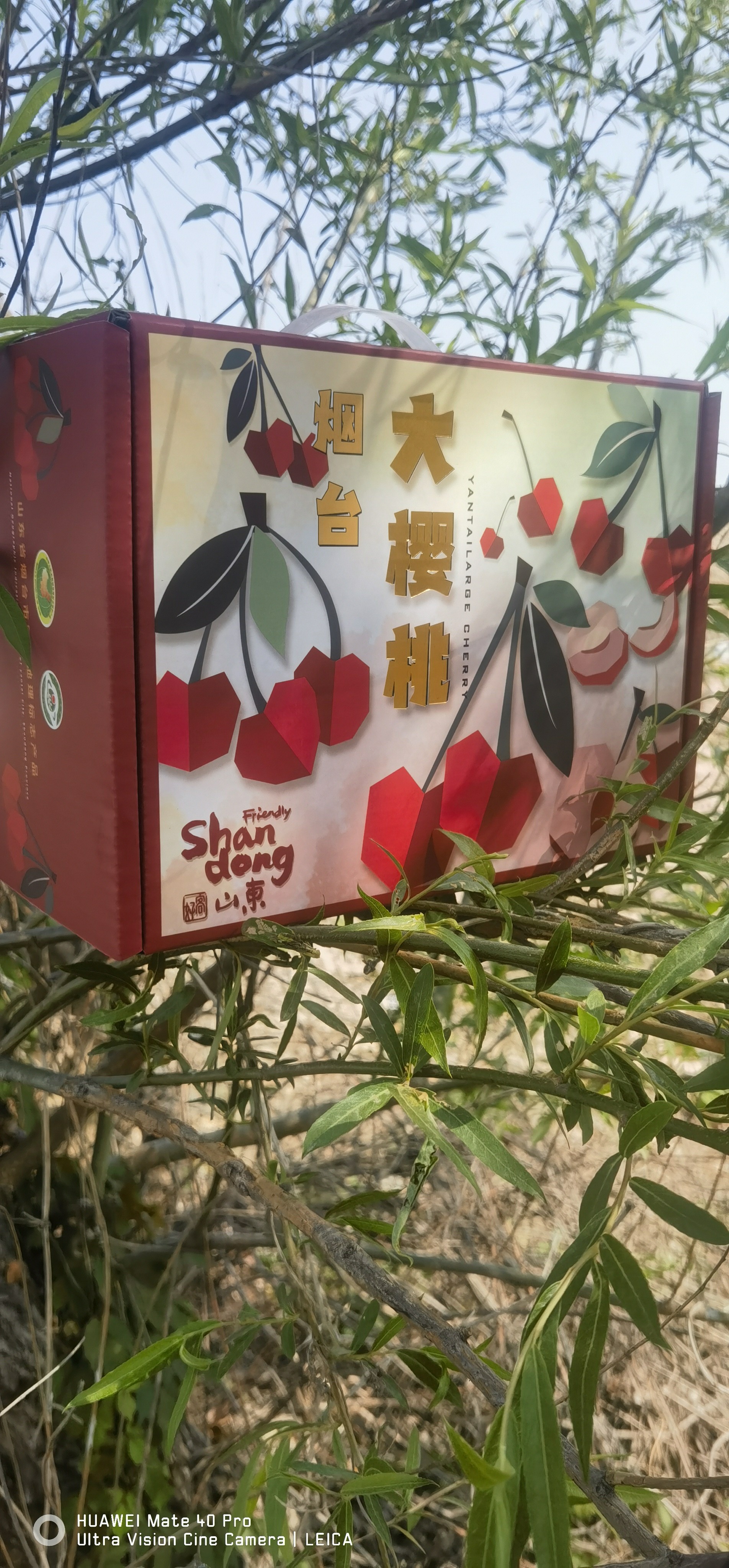 烟台大樱桃渐变米白低多边形樱桃地理标志品质礼盒 - 尧晟包装樱桃系列产品