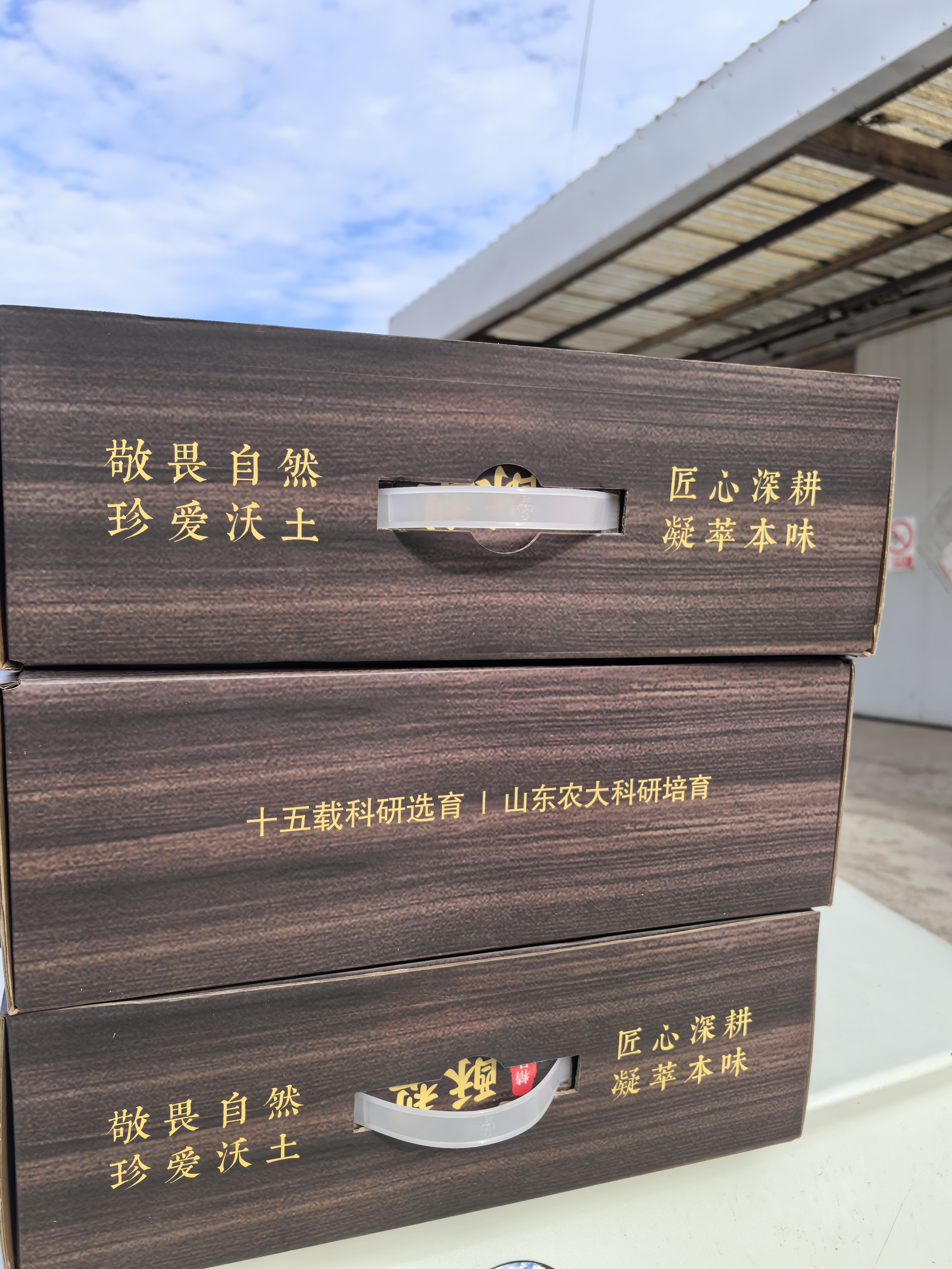 山农酥梨礼盒手提细节
